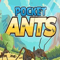 Pocket Ants